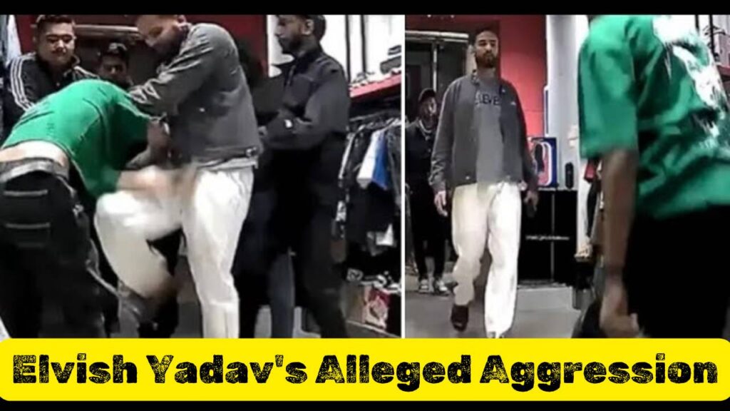  Image depicting Elvish Yadav and his friends allegedly assaulting Sagar Thakur, also known as 'Maxtern.'